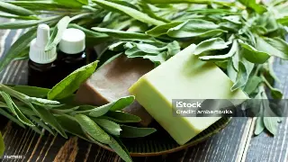 第一次去按摩店？别慌！老司机教你如何优雅避坑，享受全身放松！