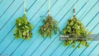 郑州探店：洗去疲惫，寻觅身心休憩的都市绿洲